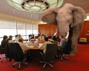 Elephant in Room
