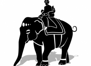 riding elephant